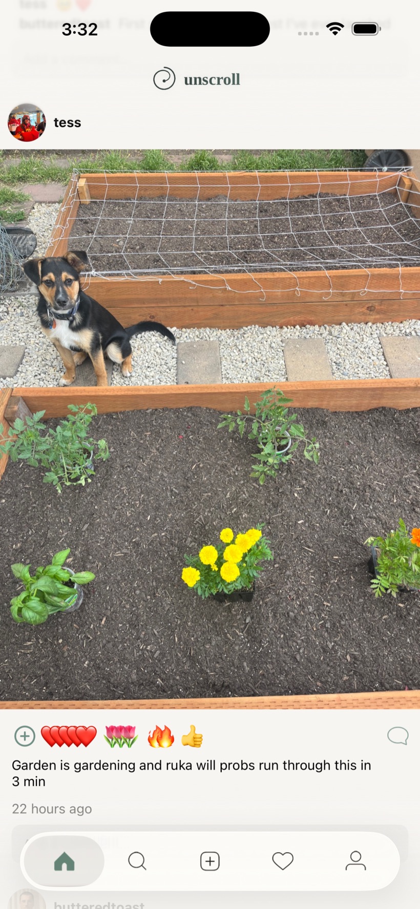 The Unscroll feed showing a friend garden photo with emoji reactions
