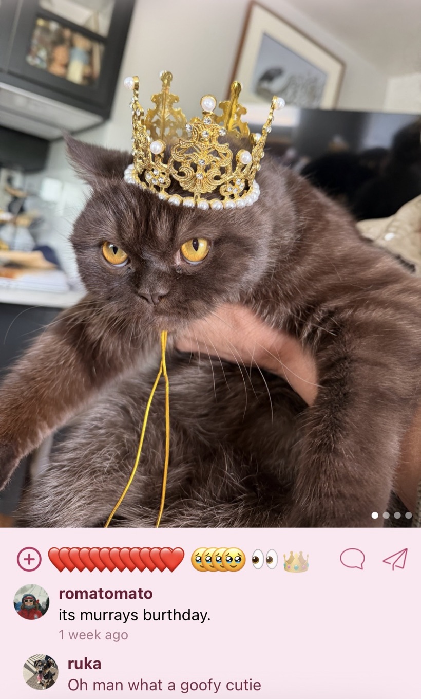 An Unscroll family-friendly photo post with emoji reactions